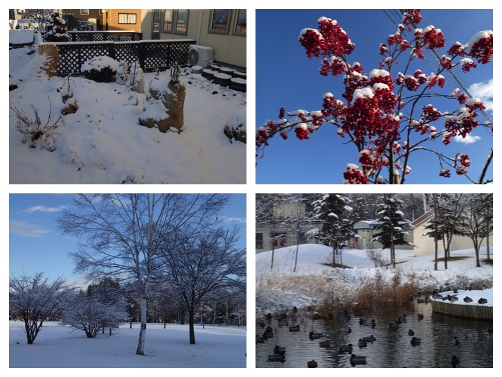 before and after snow