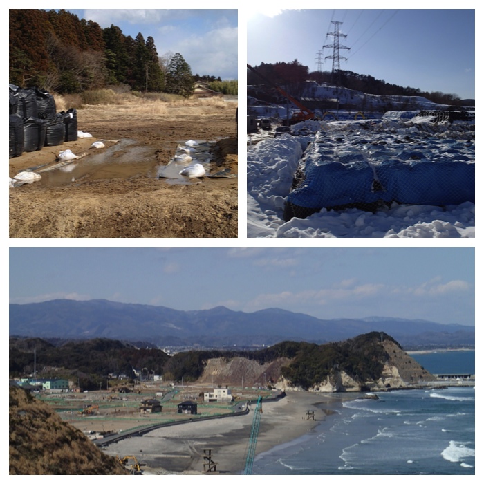 Disaster area at Toyoma in Iwaki city and the tale of edible soil