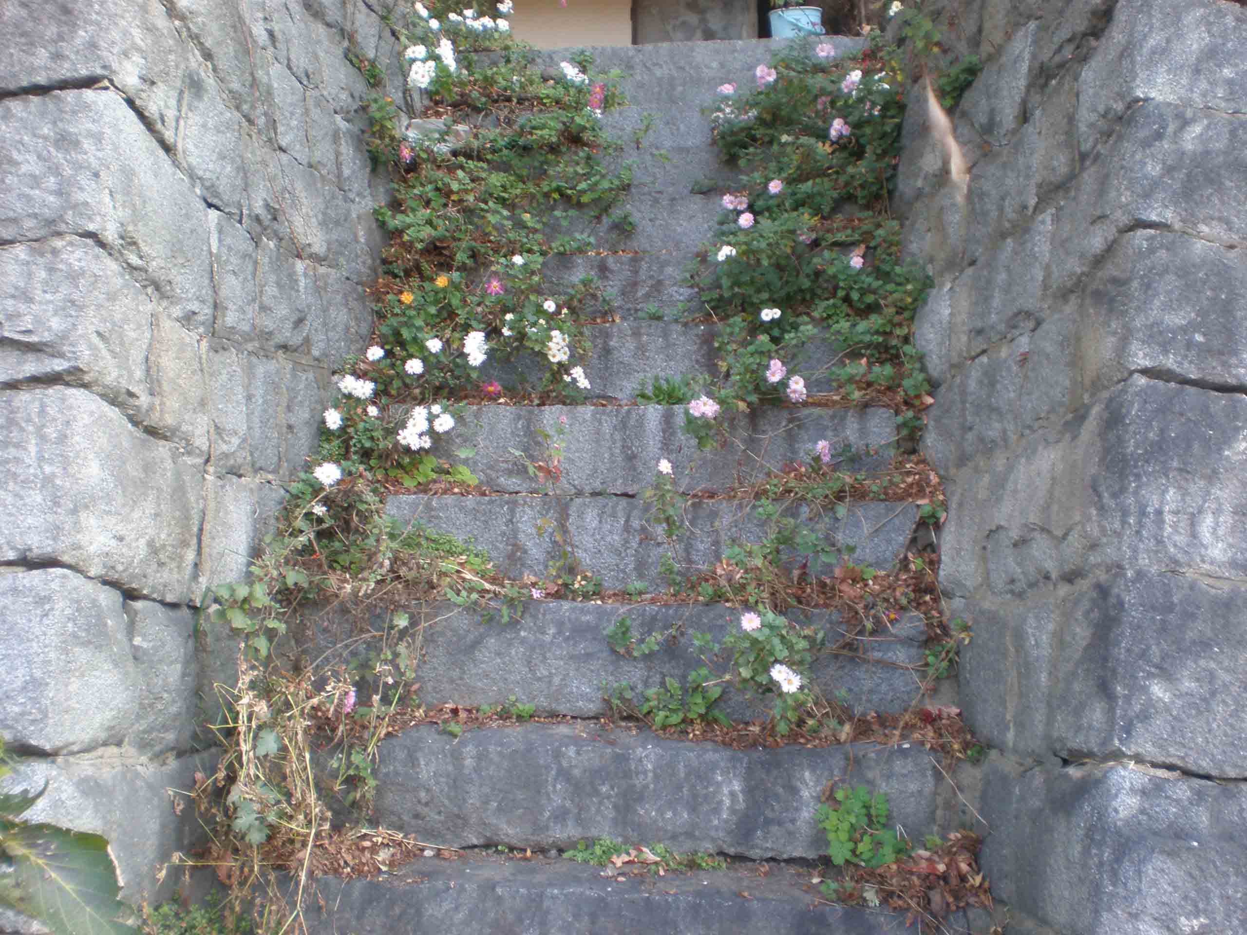 北上川沿いの石垣