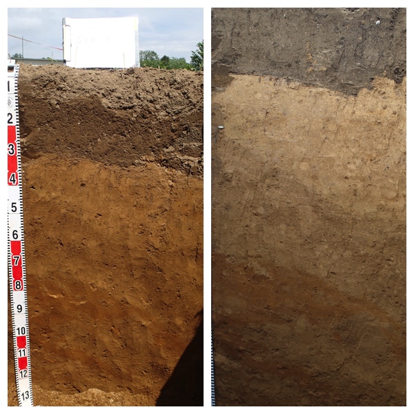 soil survey 2