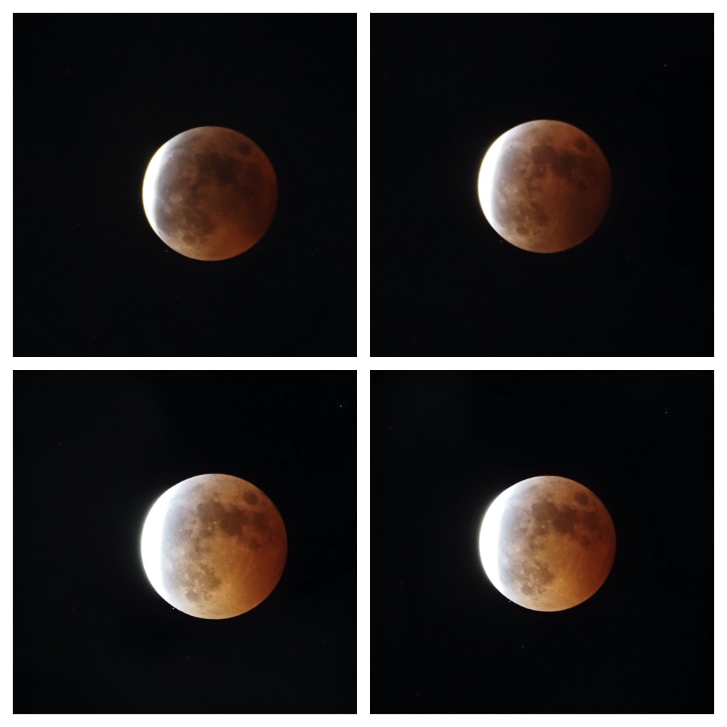 Eclipse_221108_6