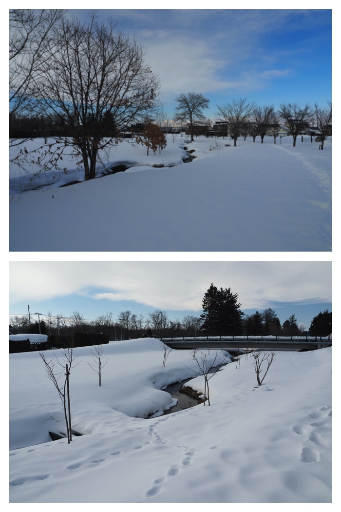 Snow_walk_230225_5