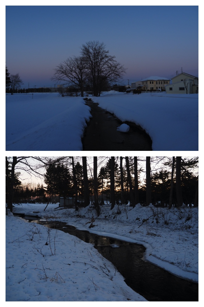 Evening_walk_230112_8