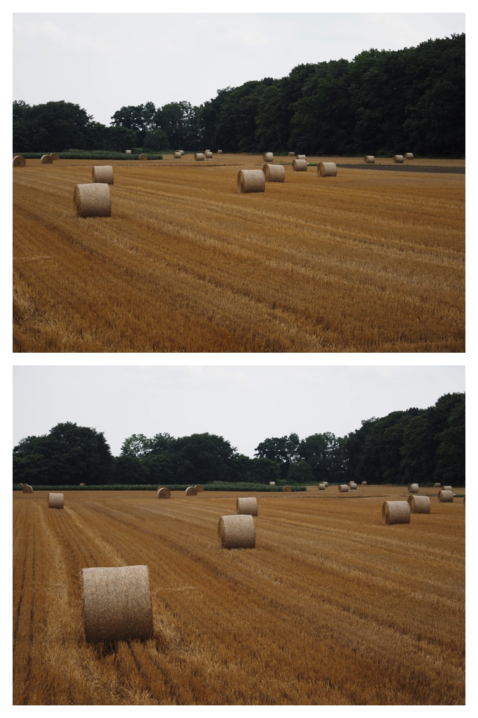 2023-07-24_Wheat-straw_1