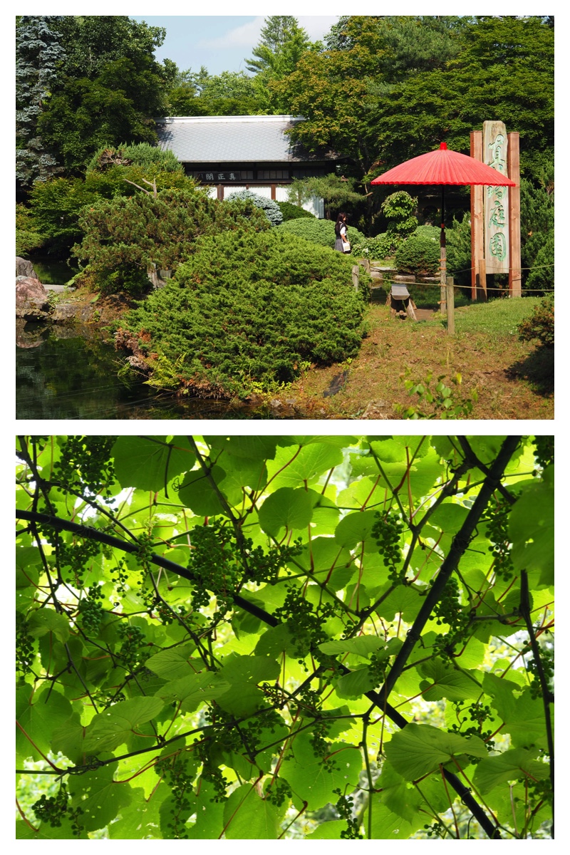 Manabe-garden_230704_1