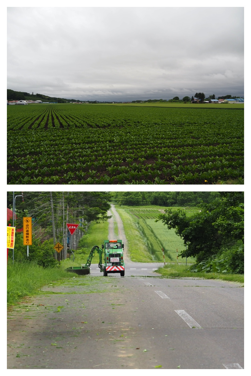 Tokachi-Hills_230613_29