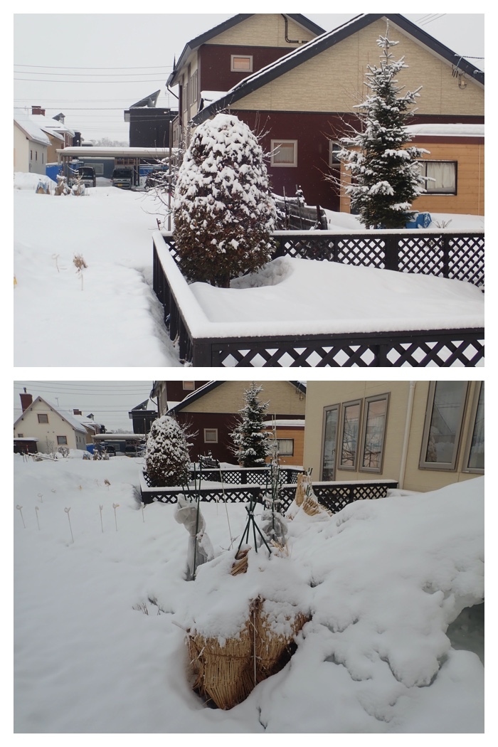 Snowy_walk_230303_1