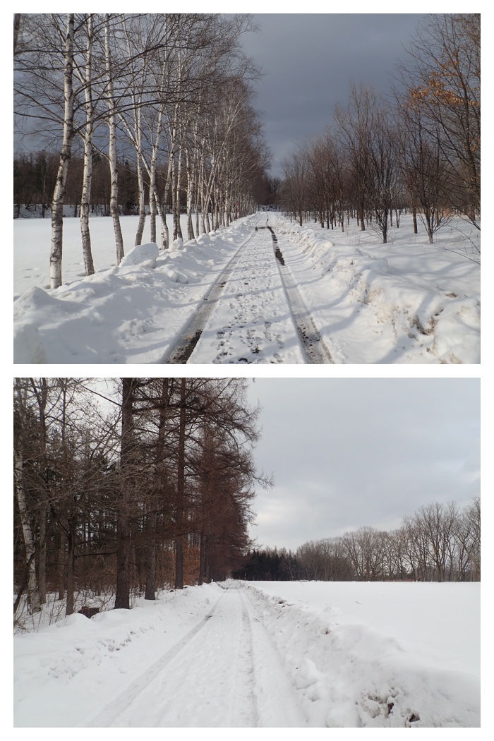 Snowy_walk_230303_5