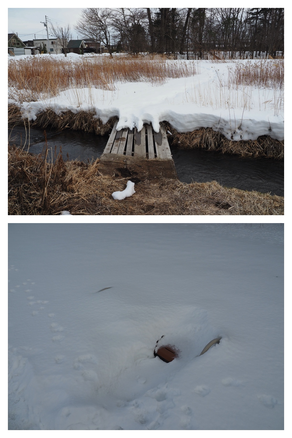 240321_snowmelt_14