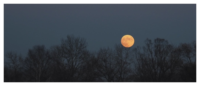 Moon_rise_221108