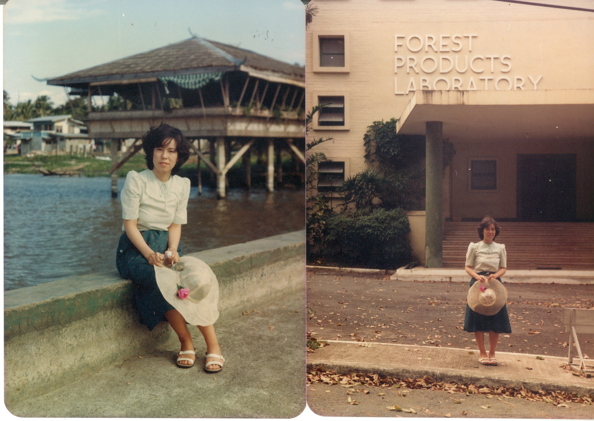 IRRI1981-07